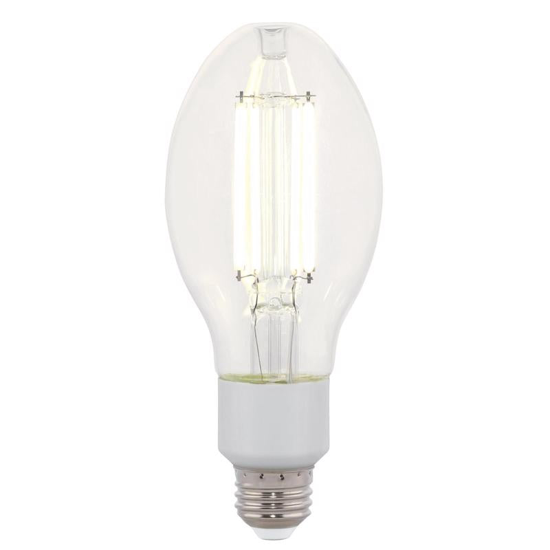 Westinghouse ED23.5 E26 (Medium) Filament LED Bulb Daylight 125 Watt Equivalence