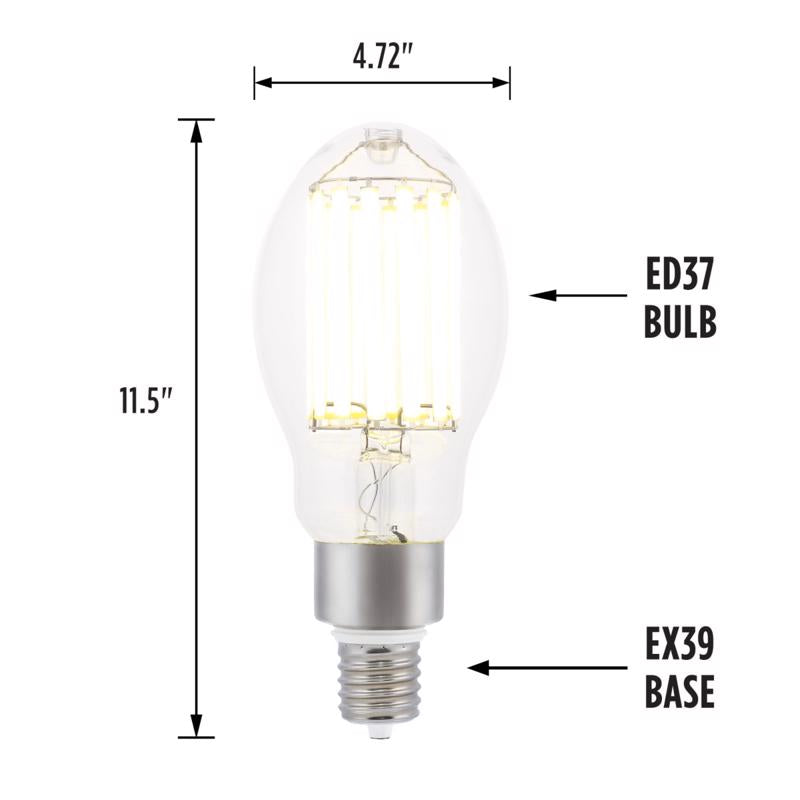 Westinghouse ED37 EX39 (Mogul) Filament LED Bulb Daylight 750 Watt Equivalence