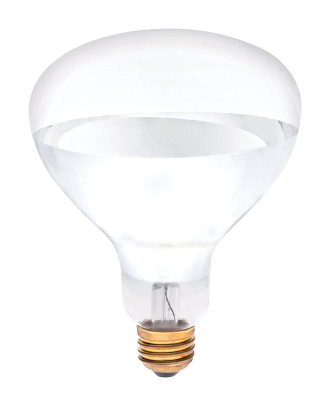 Westinghouse 250 W R40 Reflector Incandescent Bulb E26 (Medium) White