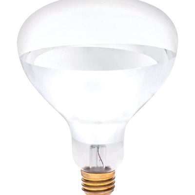 Westinghouse 250 W R40 Reflector Incandescent Bulb E26 (Medium) White