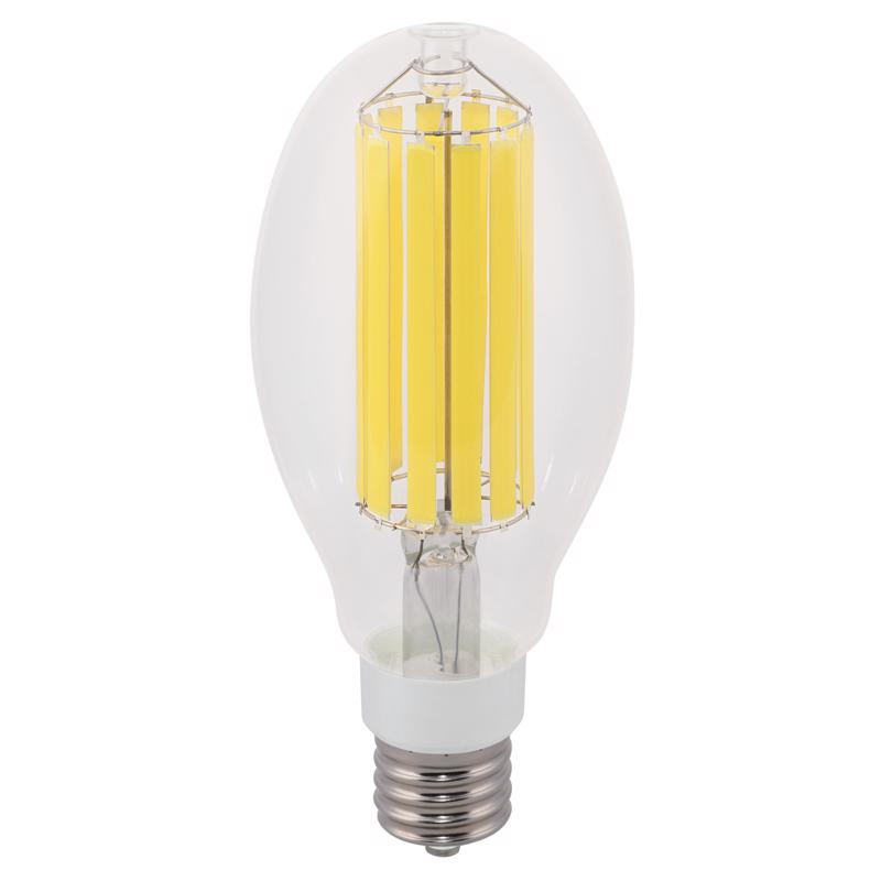 Westinghouse ED32 EX39 (Mogul) Filament LED Bulb Daylight 65 Watt Equivalence
