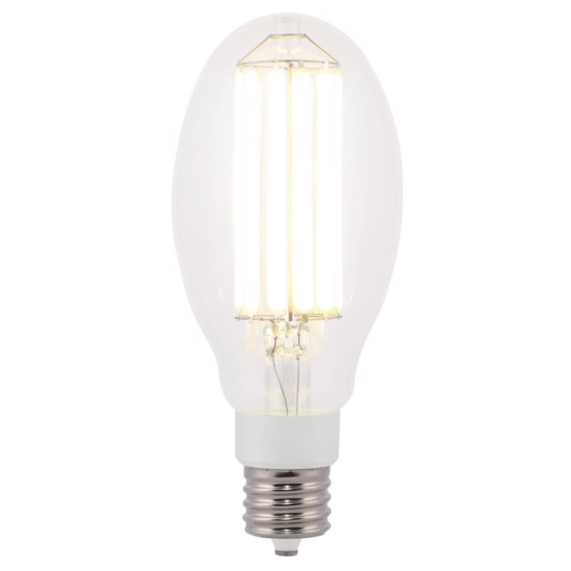 Westinghouse ED32 EX39 (Mogul) Filament LED Bulb Daylight 65 Watt Equivalence