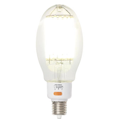 Westinghouse ED37 EX39 (Mogul) Filament LED Bulb Daylight 450 Watt Equivalence