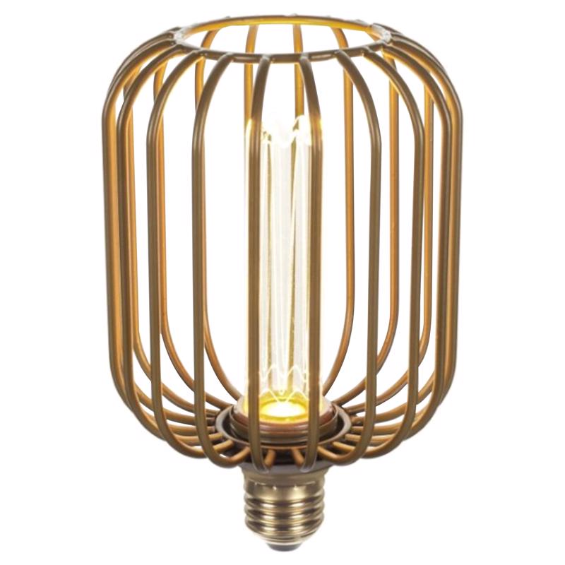 Globe Electric Decorative E26 (Medium) LED Bulb Soft White 3 Watt Equivalence