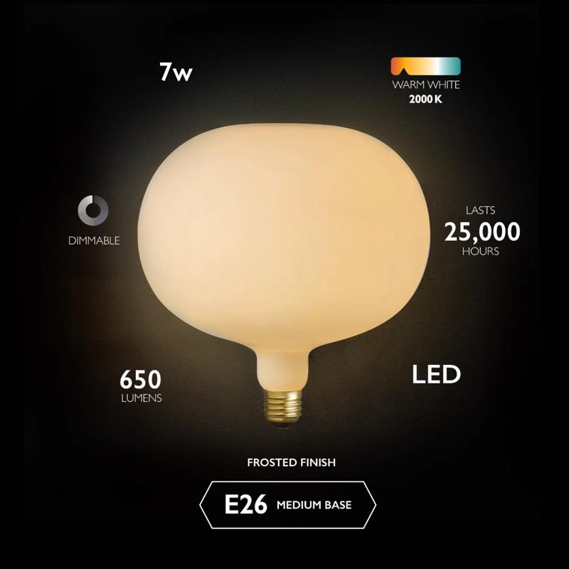 Globe Electric Decorative E26 (Medium) LED Bulb Cool White 7 Watt Equivalence