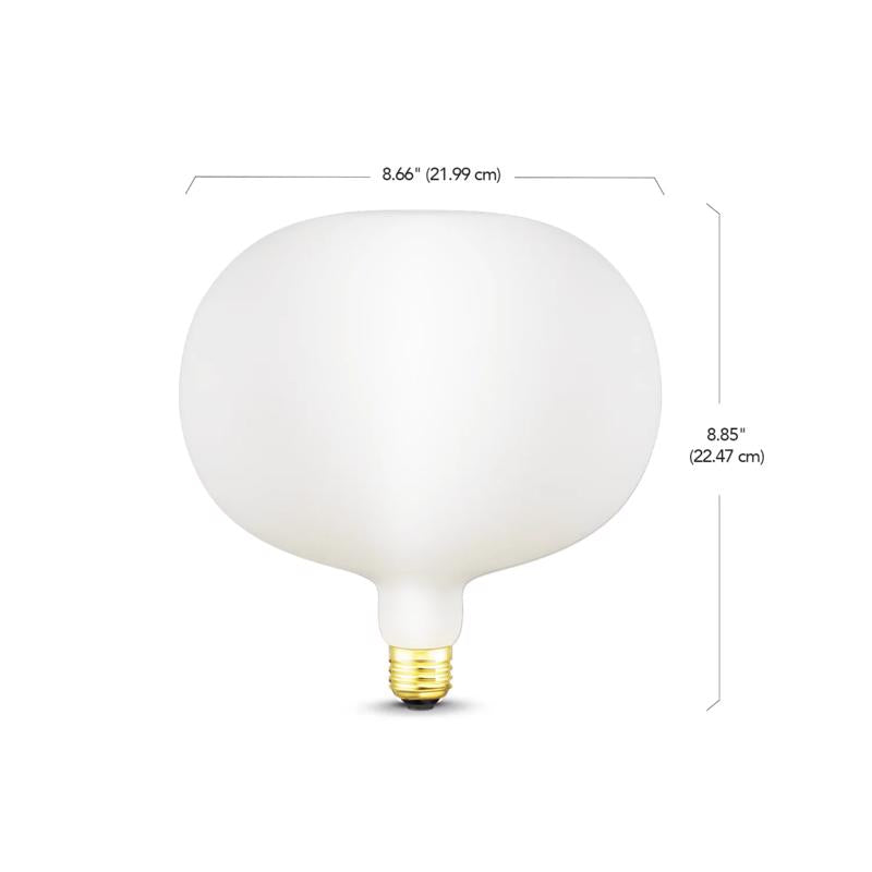 Globe Electric Decorative E26 (Medium) LED Bulb Cool White 7 Watt Equivalence