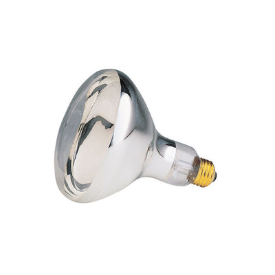 Westinghouse 125 W R40 Reflector/Heat Lamp Incandescent Bulb E26 (Medium) White