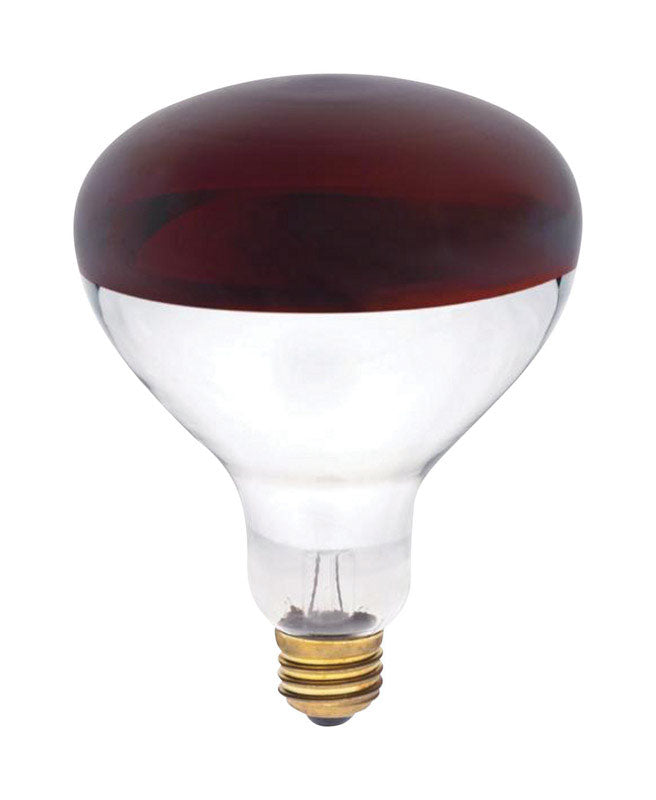 Westinghouse 250 W R40 Reflector/Heat Lamp Incandescent Bulb E26 (Medium) Red