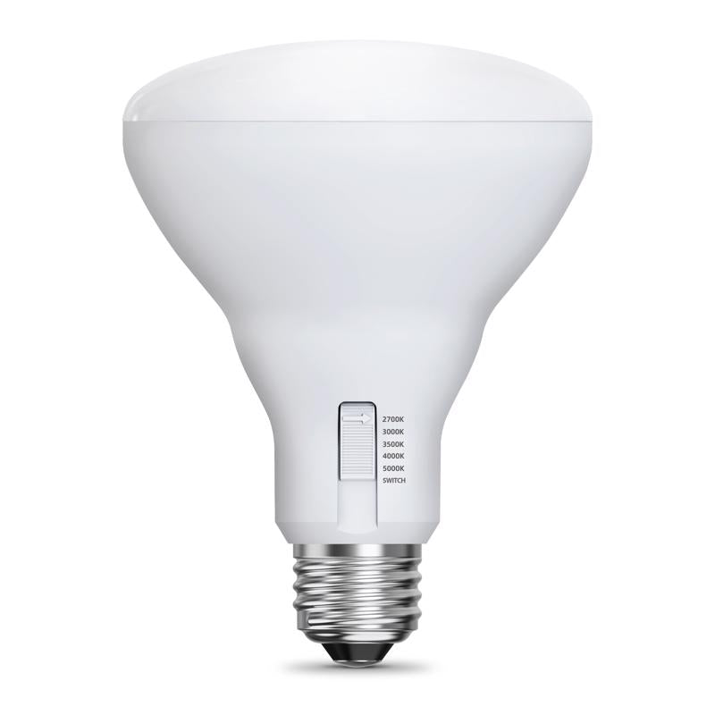 Feit BR30 E26 (Medium) LED Bulb Adjustable White 65 Watt Equivalence