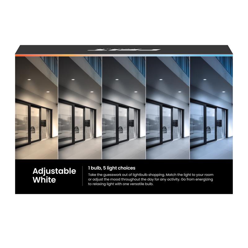 Feit PAR38 E26 (Medium) LED Bulb Adjustable White 120 Watt Equivalence 2 pk