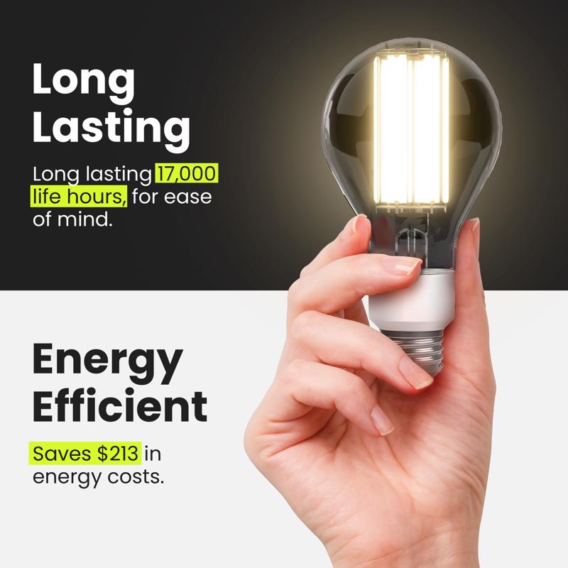 Feit A23 E26 (Medium) Filament LED Bulb Bright White 300 Watt Equivalence