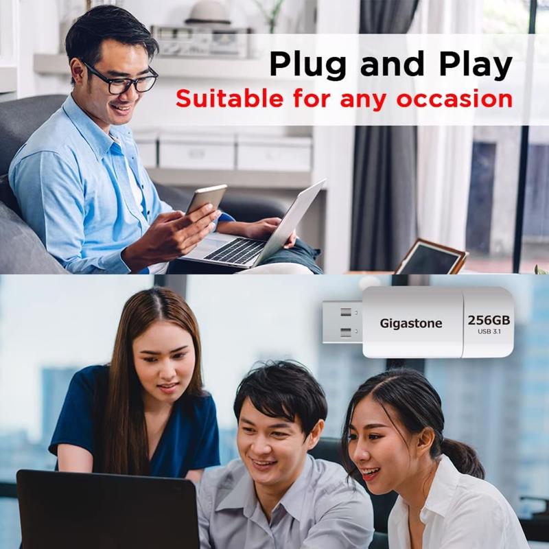 Gigastone Flash Drive 256 GB