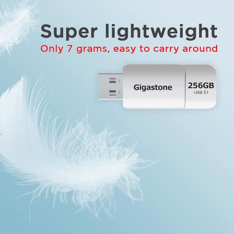 Gigastone Flash Drive 256 GB