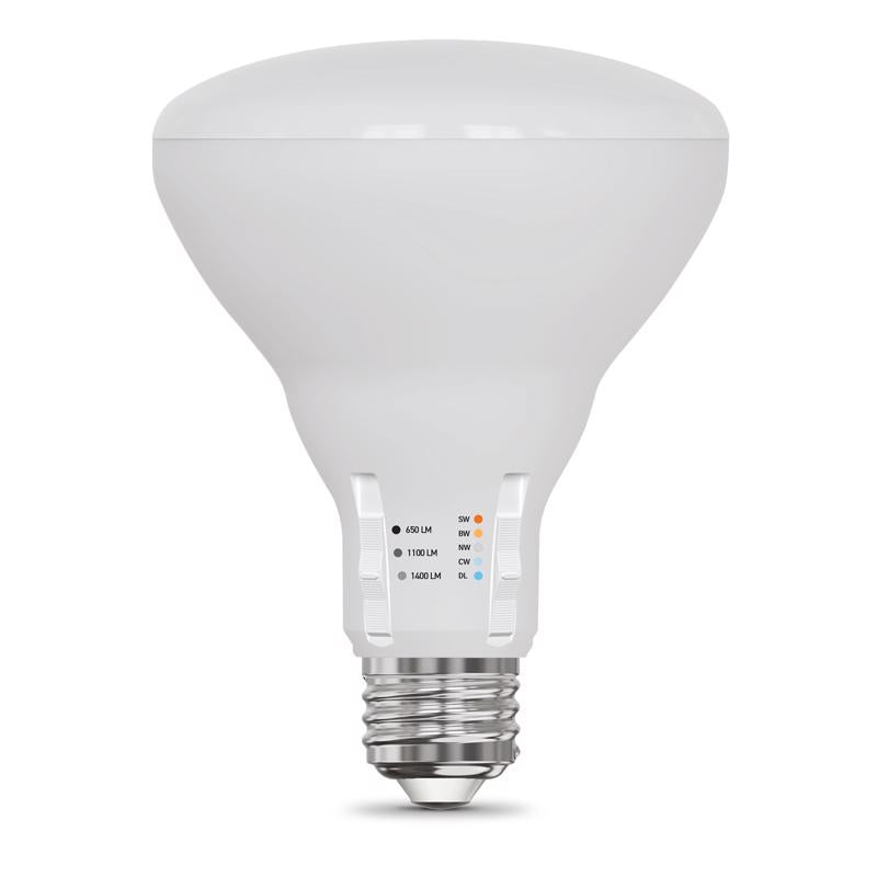 Feit Electric BR30 E26 (Medium) LED Bulb Adjustable White 100 Watt Equivalence