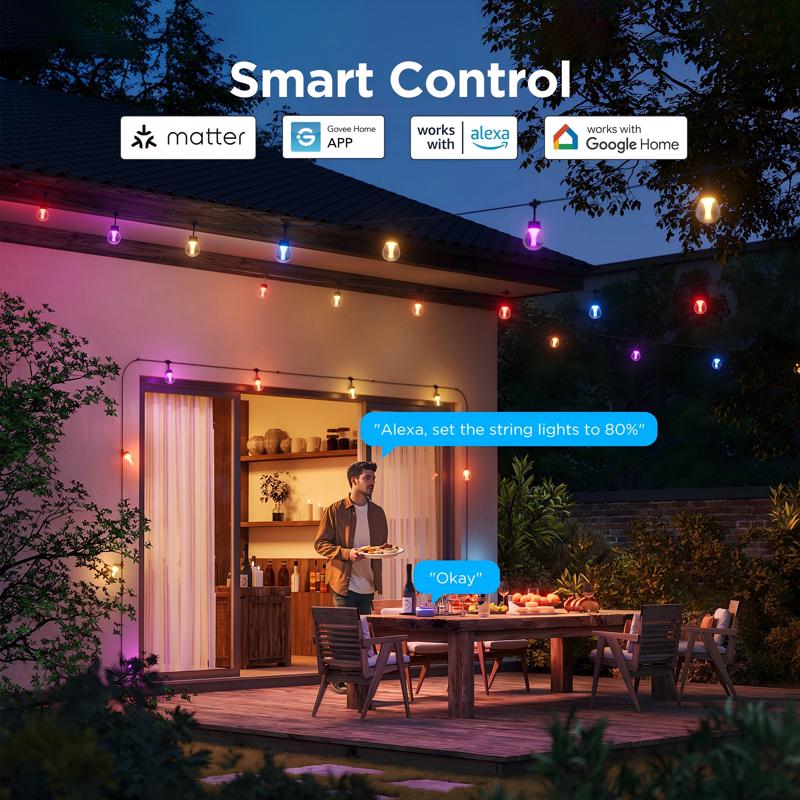 Govee LED Modern Smart-Enabled Color Changing String Lights Clear 48 ft. 15 lights