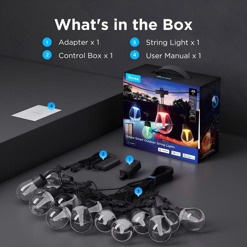Govee LED Modern Smart-Enabled Color Changing String Lights Clear 48 ft. 15 lights