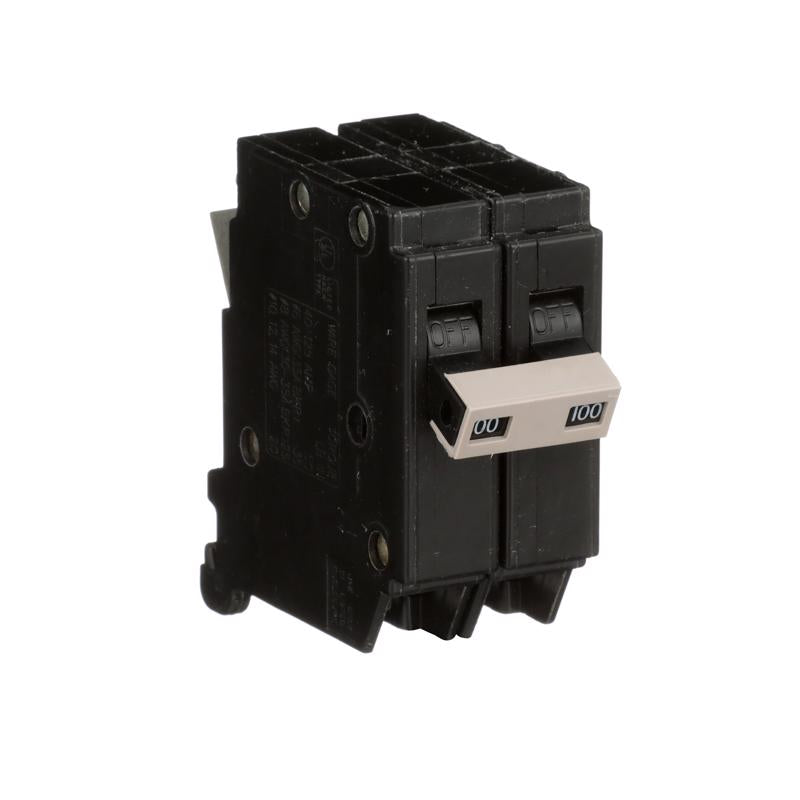 Eaton 100 amps Plug In 2-Pole Circuit Breaker