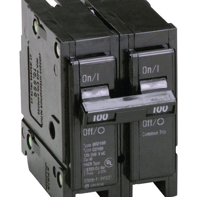 Eaton 100 amps Plug In 2-Pole Circuit Breaker