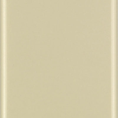 Leviton Ivory 1 gang Thermoset Plastic Blank Wall Plate