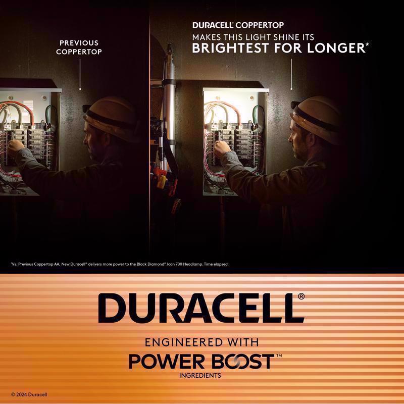 Duracell Coppertop AAA Alkaline Batteries 10 pk Carded