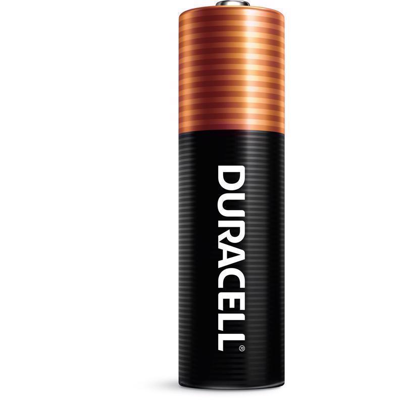 Duracell Coppertop AAA Alkaline Batteries 10 pk Carded
