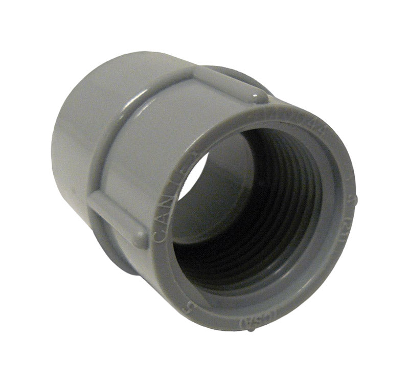 Cantex 1 in. D PVC Female Adapter For PVC