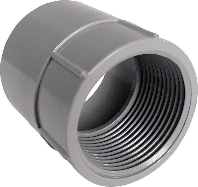 Cantex 1-1/4 in. D PVC Female Adapter For PVC