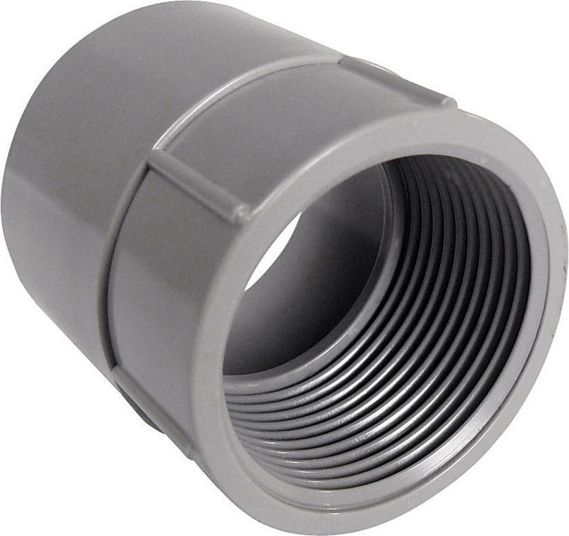 Cantex 1-1/2 in. D PVC Female Adapter For PVC