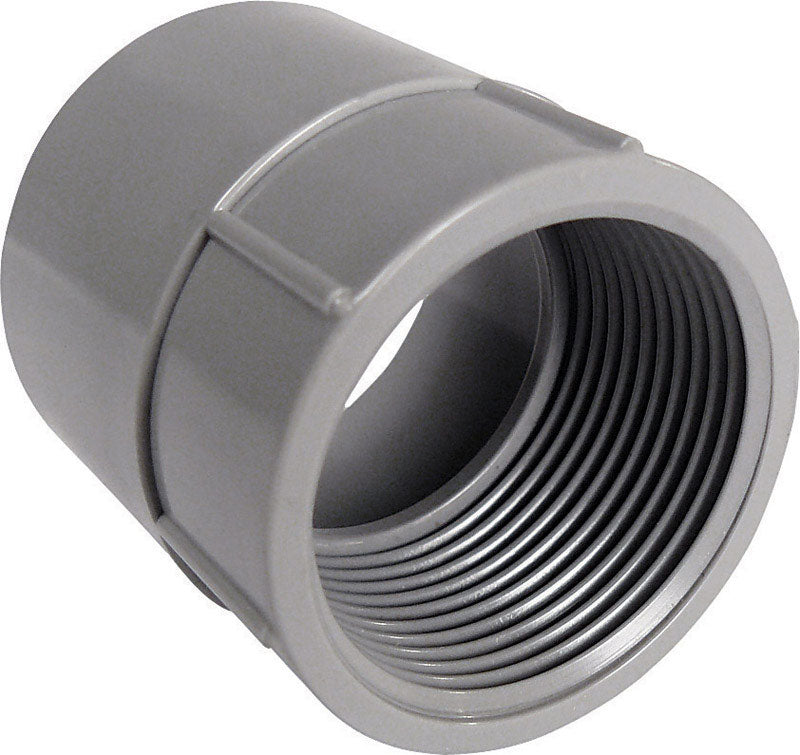 Cantex 2 in. D PVC Female Adapter For PVC