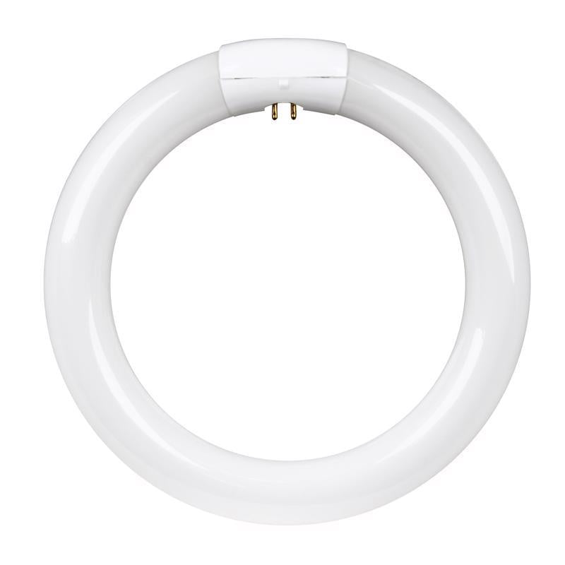 Feit Legacy Bulbs 22 W T9 8.3 in. D X 8.3 in. L Circline Fluorescent Bulb Cool White Circular 4100 K