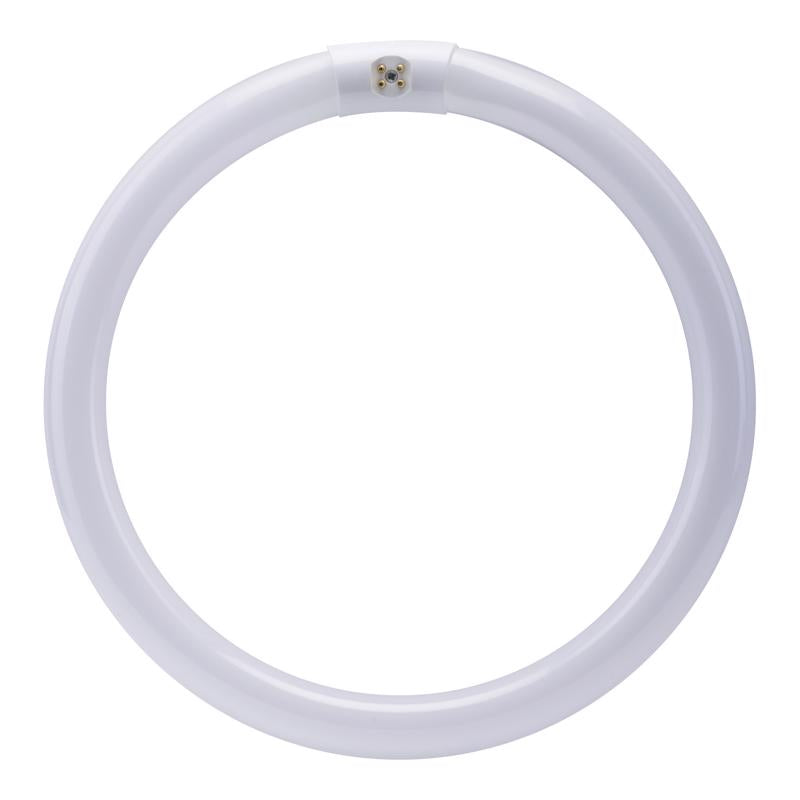 Feit 32 W T9 12 in. D Circline Fluorescent Bulb Cool White Circular 4100 K