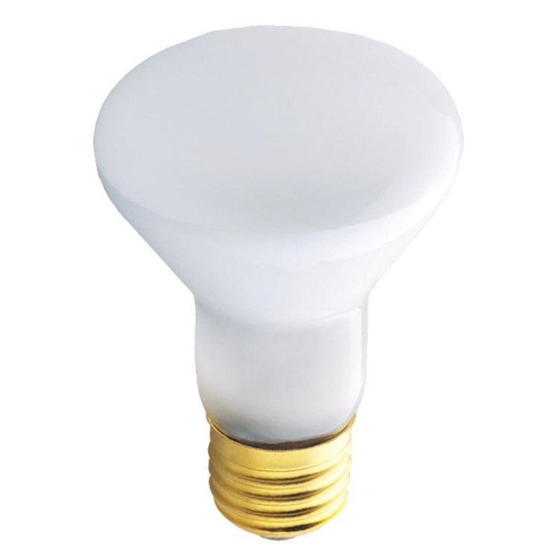 Westinghouse 30 W R20 Floodlight Incandescent Bulb E26 (Medium) White