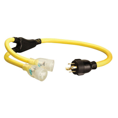 Coleman Cable 10/4 STOW 250 V 3 ft. L Generator Cord