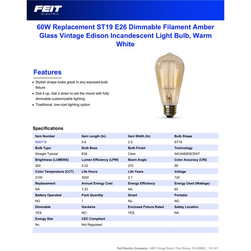 Feit The Original 60 W ST19 Vintage Incandescent Bulb E26 (Medium) Soft White