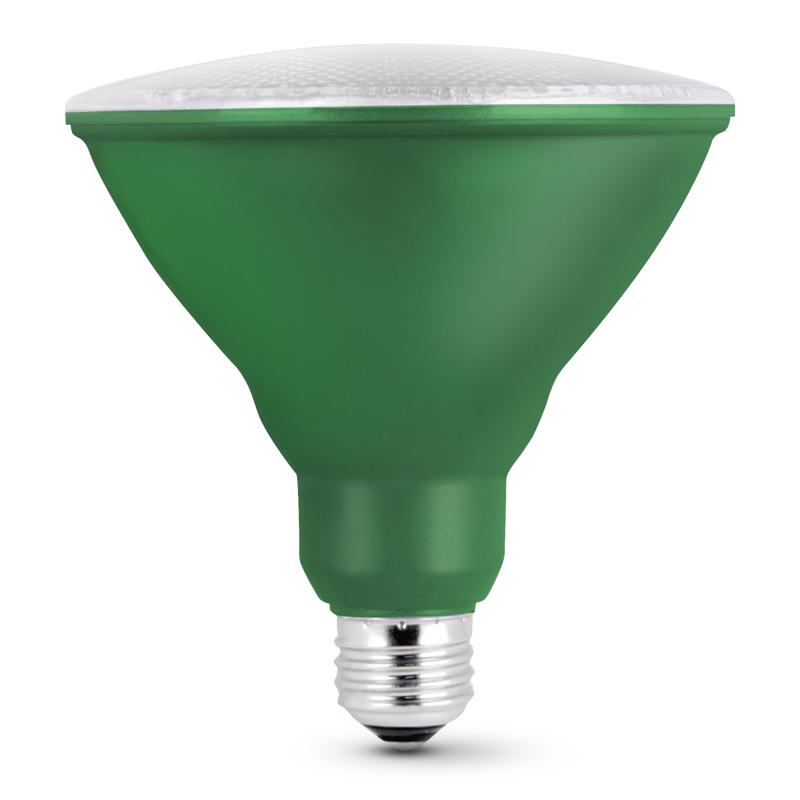 Feit PAR38 E26 (Medium) LED Bulb Green 120 Watt Equivalence