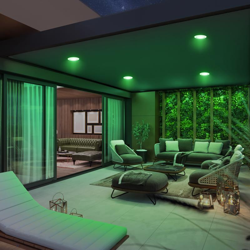 Feit PAR38 E26 (Medium) LED Bulb Green 120 Watt Equivalence