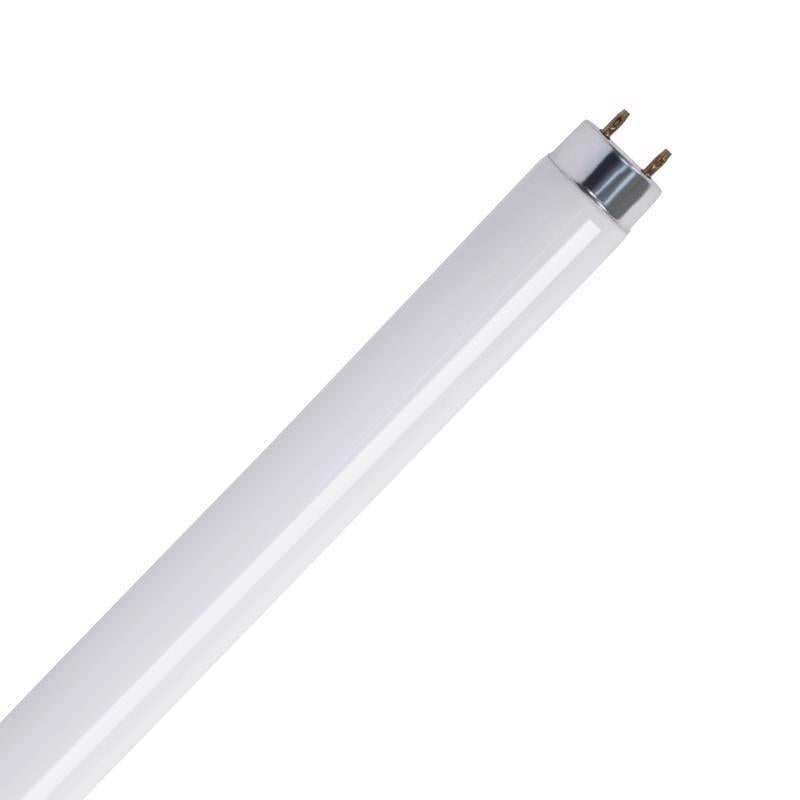 Feit Legacy Bulbs 15 W T8 1.1 in. D X 17.7 in. L Fluorescent Bulb Cool White Linear 4100 K
