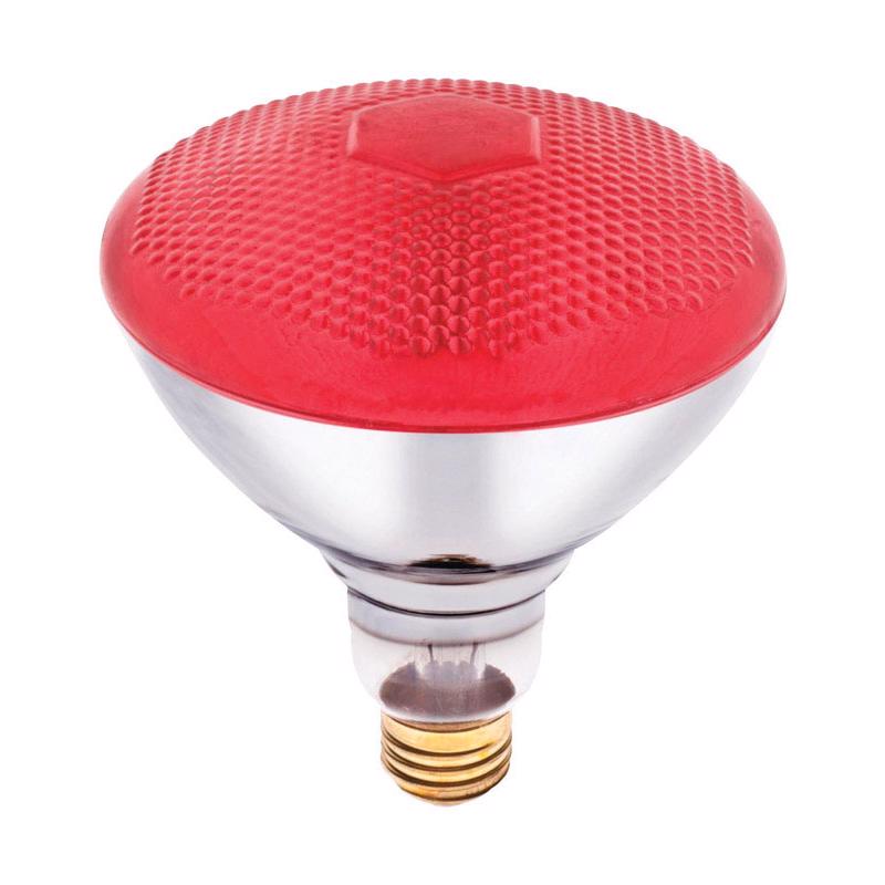 Westinghouse 100 W E26 Reflector Incandescent Bulb E26 (Medium) Red