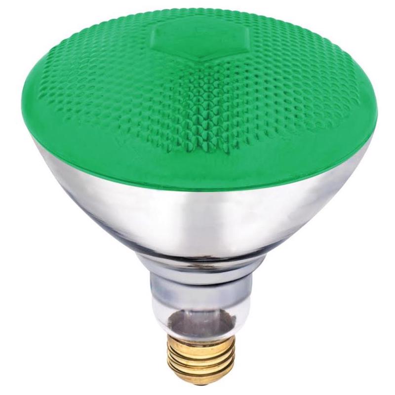 Westinghouse 100 W E26 Reflector Incandescent Bulb E26 (Medium) Green
