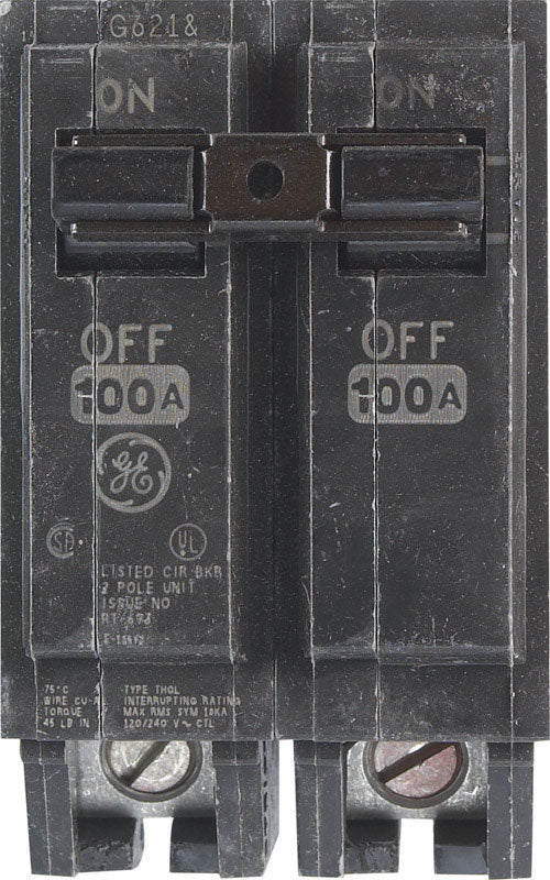 ABB Q-Line 100 amps Standard 2-Pole Circuit Breaker