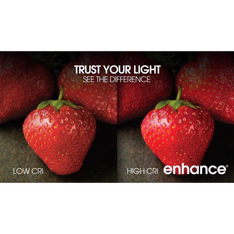 Feit G25 E26 (Medium) Filament LED Bulb Daylight 40 Watt Equivalence