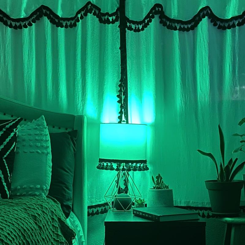Feit A19 E26 (Medium) Filament LED Bulb Green 30 Watt Equivalence