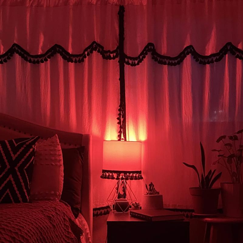 Feit A19 E26 (Medium) Filament LED Bulb Red 30 Watt Equivalence