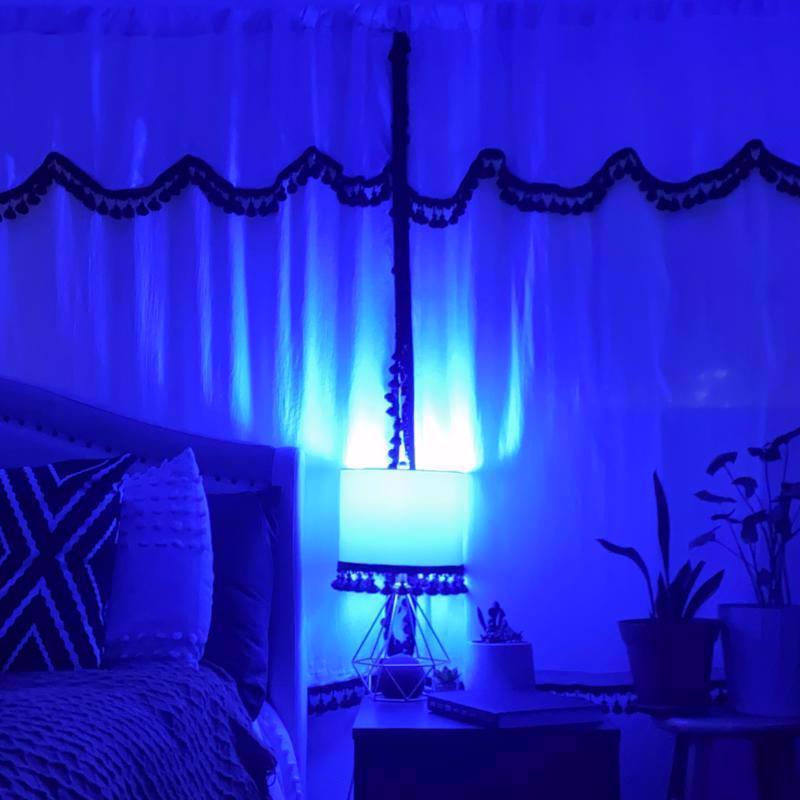 Feit A19 E26 (Medium) Filament LED Bulb Blue 30 Watt Equivalence