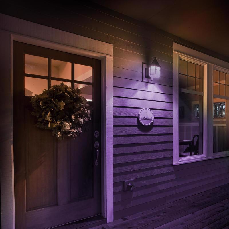Feit A19 E26 (Medium) Filament LED Bulb Purple 30 Watt Equivalence