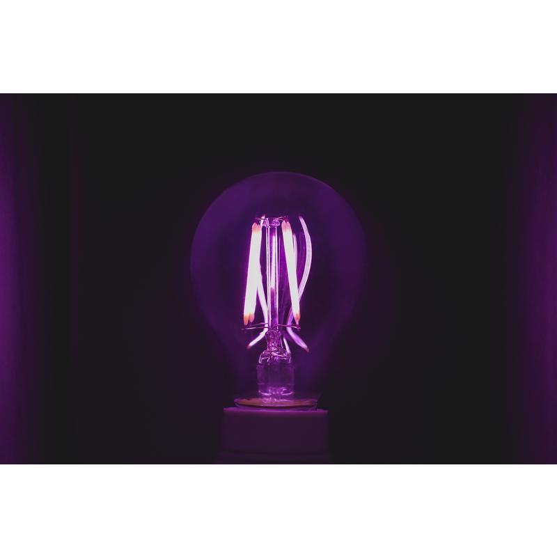 Feit A19 E26 (Medium) Filament LED Bulb Purple 30 Watt Equivalence
