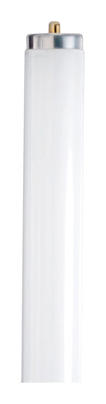 Satco 75 W T12 1.5 in. D X 96 in. L Fluorescent Bulb Daylight Linear 6500 K