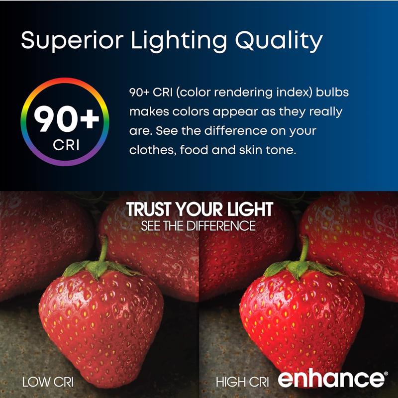 Feit A19 E26 (Medium) LED Bulb Bright White 60 Watt Equivalence