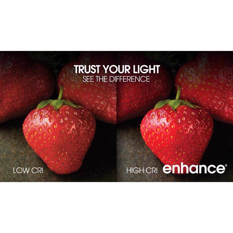 Feit Enhance A15 E26 (Medium) Filament LED Bulb Daylight 40 Watt Equivalence 2 pk