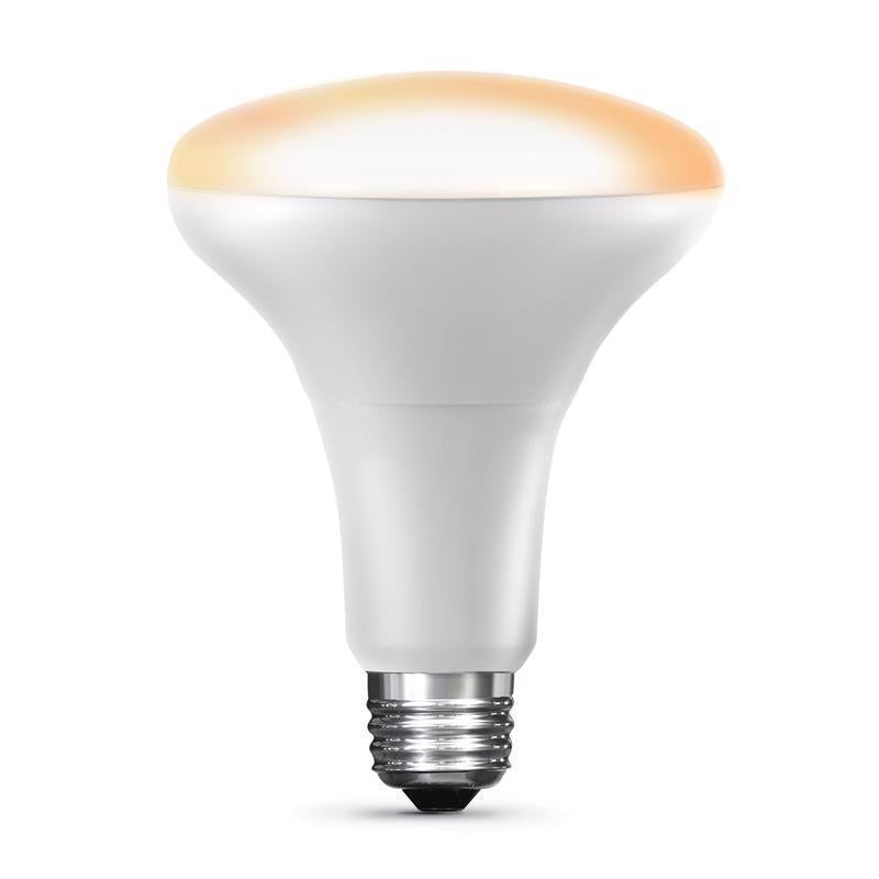 Feit Smart Home BR30 E26 (Medium) Smart-Enabled LED Bulb White 65 Watt Equivalence